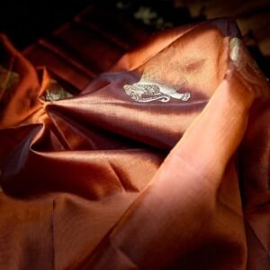 WhatsApp Image 2026-02-02 at 11.22.41 AM (2)