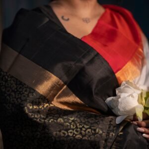 WhatsApp Image 2026-02-03 at 11.24.28