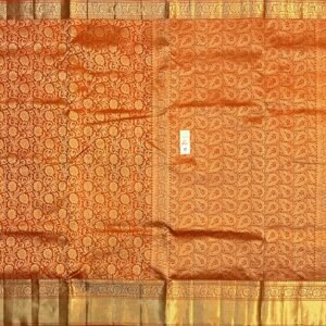 WhatsApp Image 2026-02-03 at 3.24.45 PM (1)