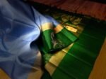 Elegant Sky Blue Kanchipuram Silk Saree with Gold Zari Buttas, Contrast Green Border & Rich Gold Zari Pallu