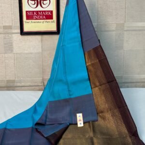 Feroza Blue Pure Silk Saree with Contrast Charcoal Grey and Rich Zari Border
